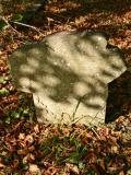 image of grave number 187981